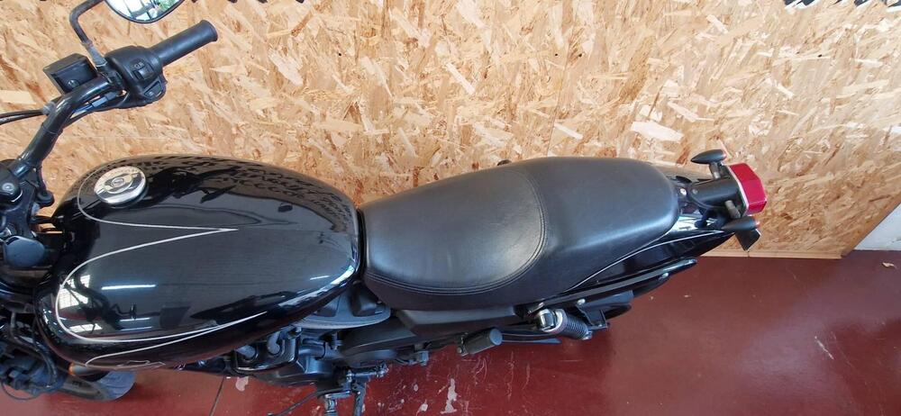 Harley-Davidson 750 Street (2017 - 20) - XG 750 (14)