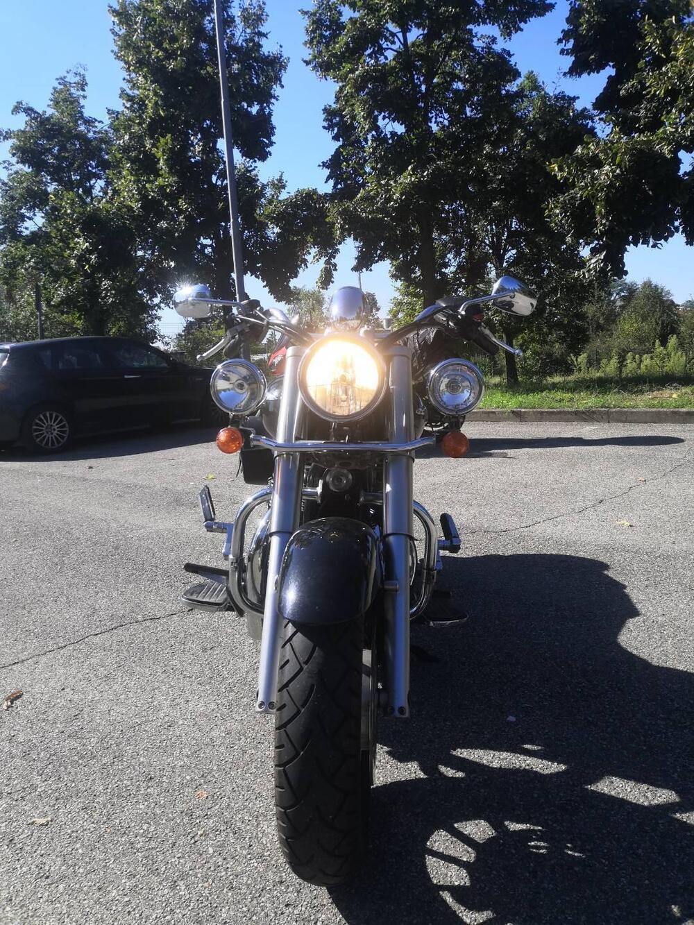 Triumph America (2011 - 16) (6)