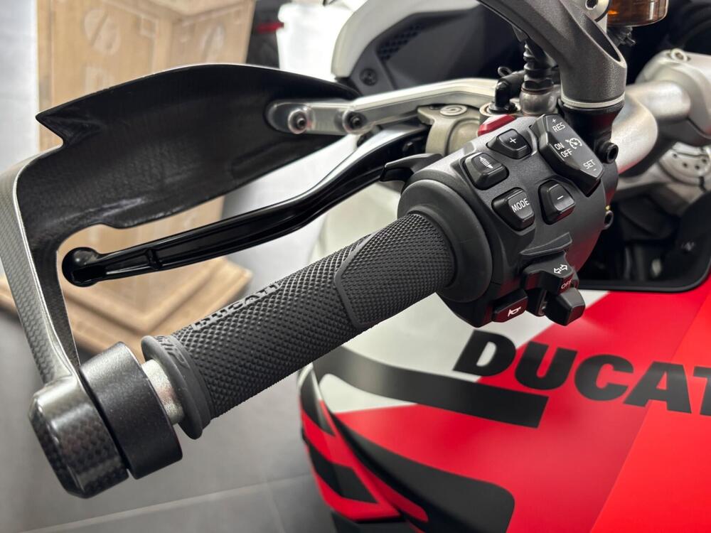 Ducati Multistrada V4 RS (2024 - 25) (11)