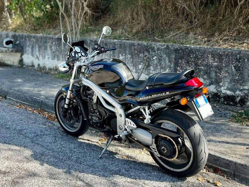 Triumph Speed Triple 955 (1998 - 01) (11)