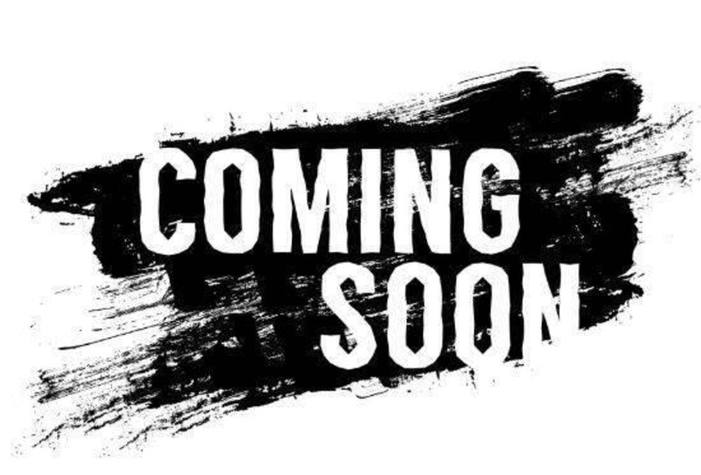 Suzuki GSX-8R (2024 - 26)