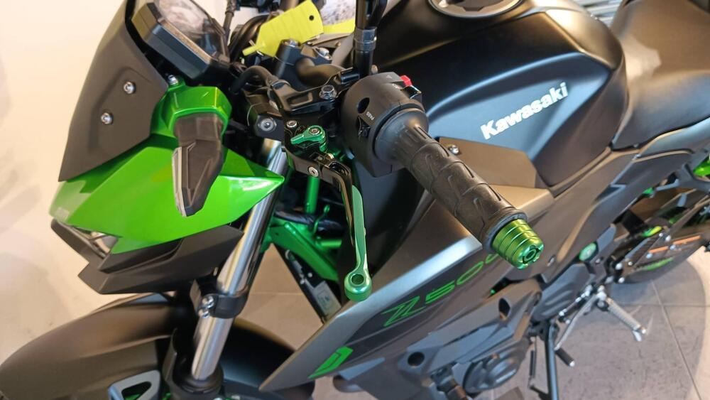 Kawasaki Z 500 SE (2024 - 26) (8)