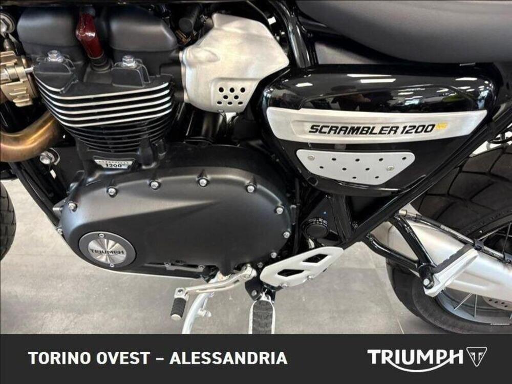 Triumph Scrambler 1200 XE (2024 - 25) (6)