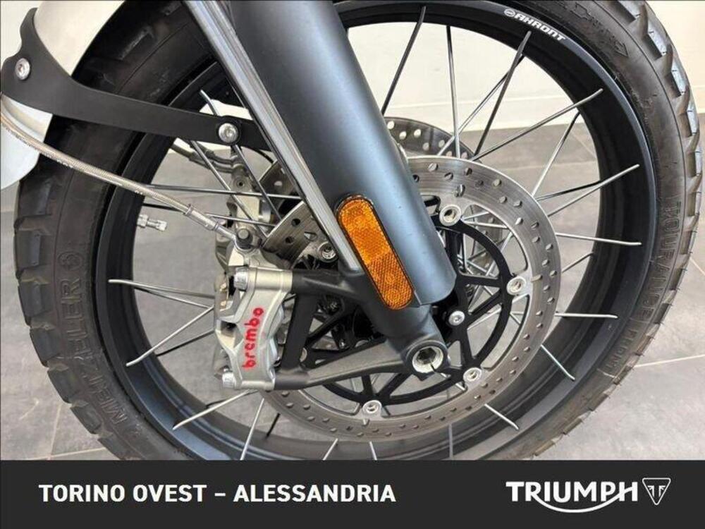 Triumph Scrambler 1200 XE (2024 - 25) (8)