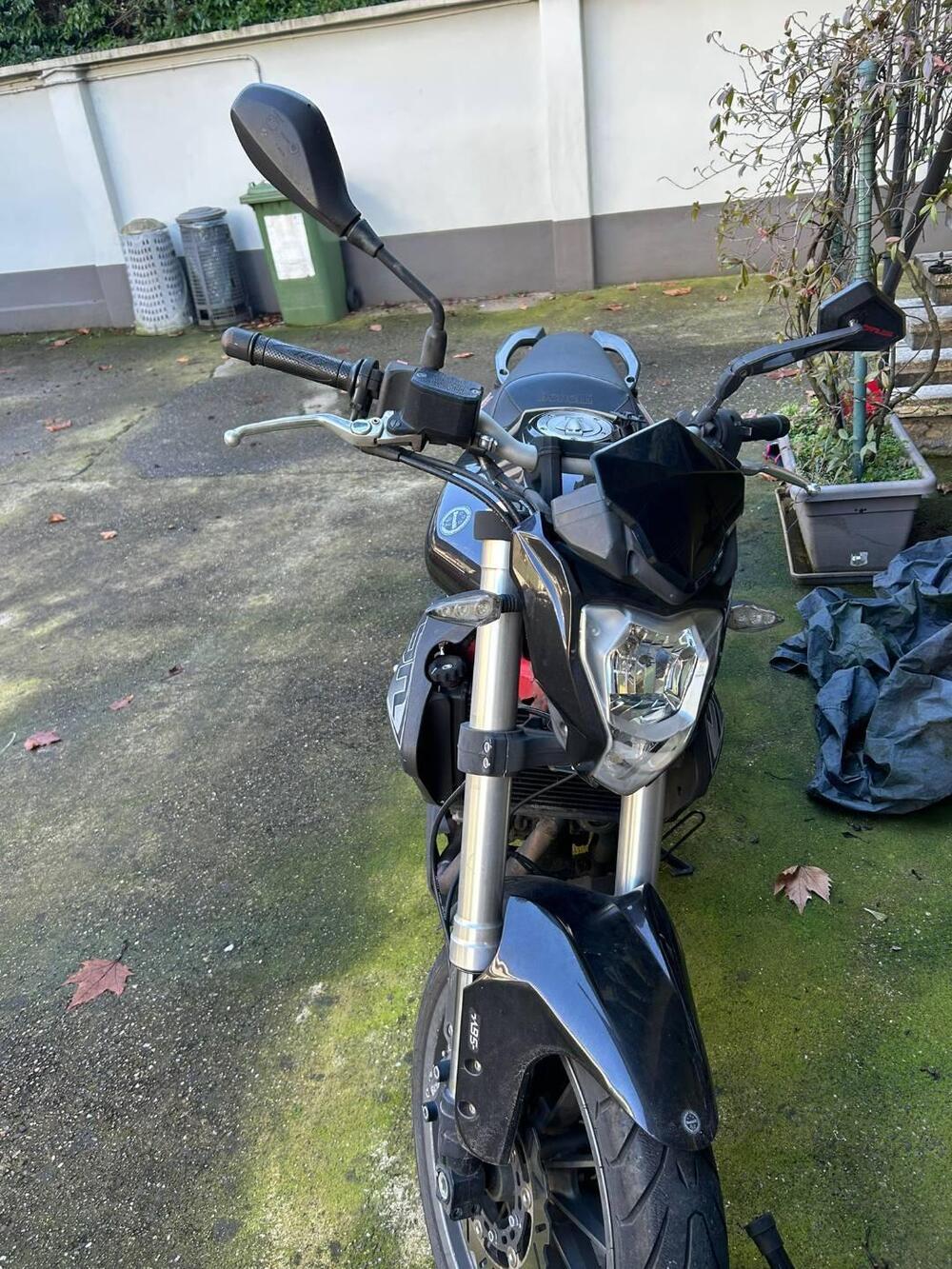 Benelli BN 302 (2017 - 19) (2)