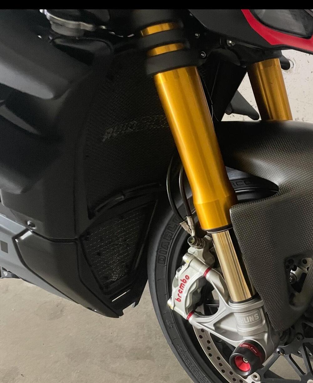 Ducati Streetfighter V4 (2023 - 24) (15)