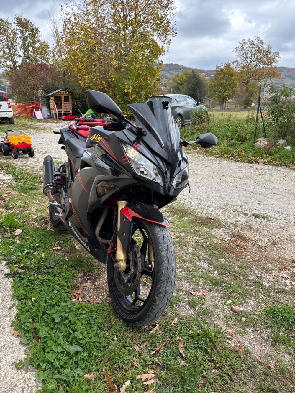 Kawasaki Ninja 300 ABS (2012 - 16)