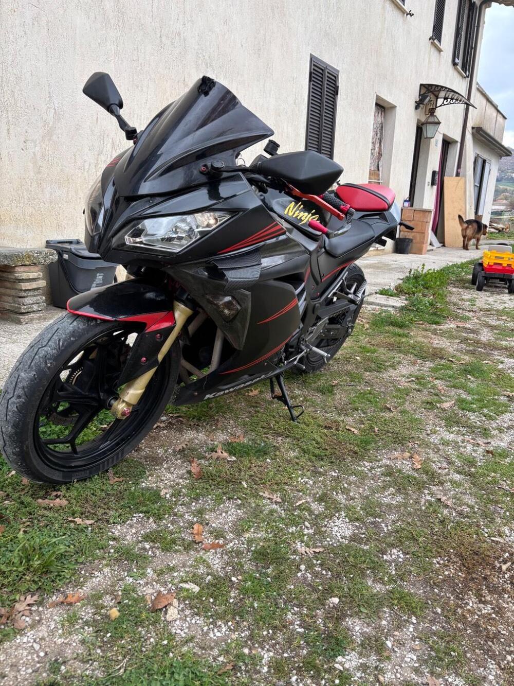 Kawasaki Ninja 300 ABS (2012 - 16) (2)