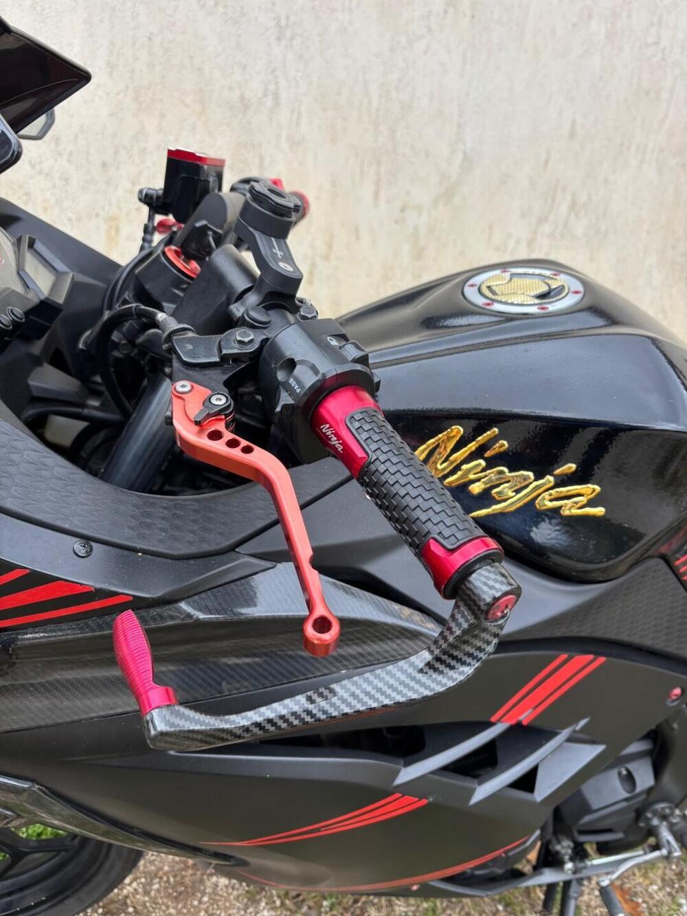 Kawasaki Ninja 300 ABS (2012 - 16) (5)