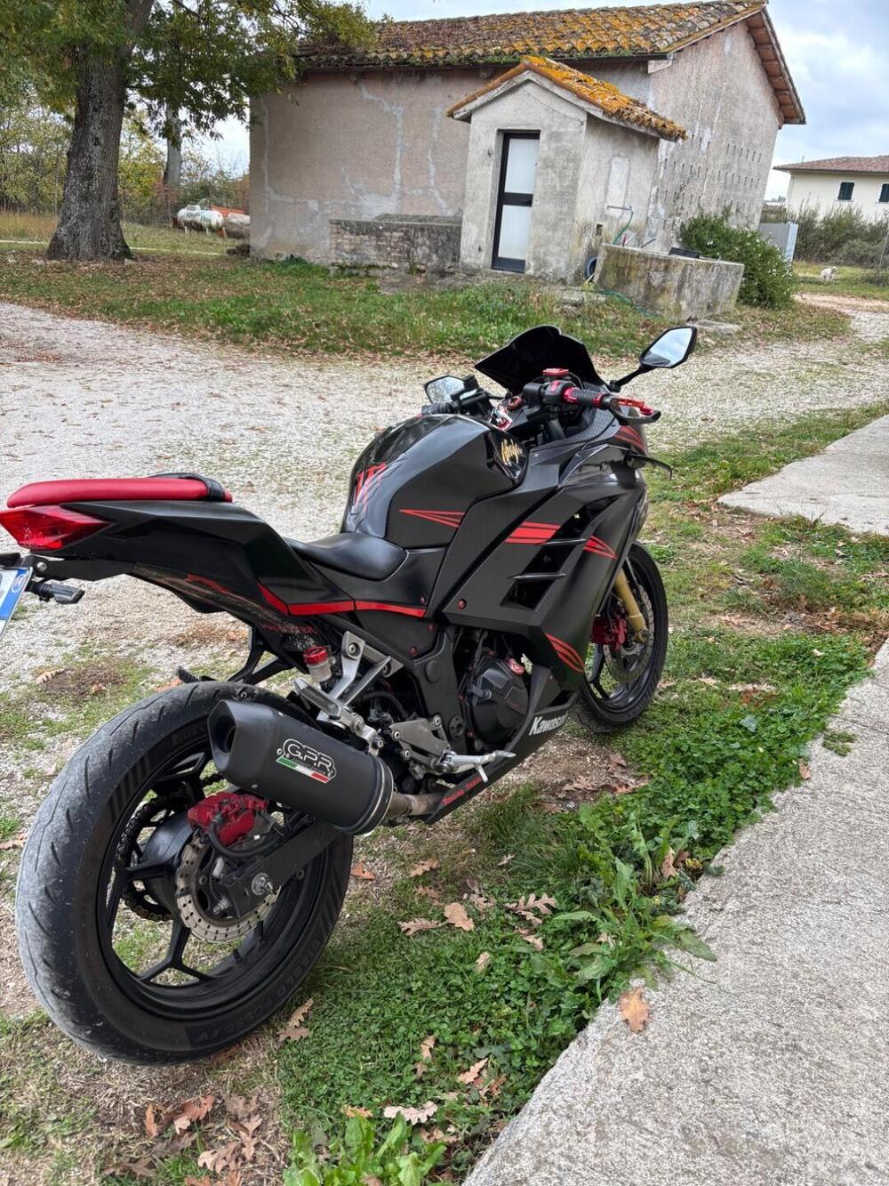 Kawasaki Ninja 300 ABS (2012 - 16) (7)