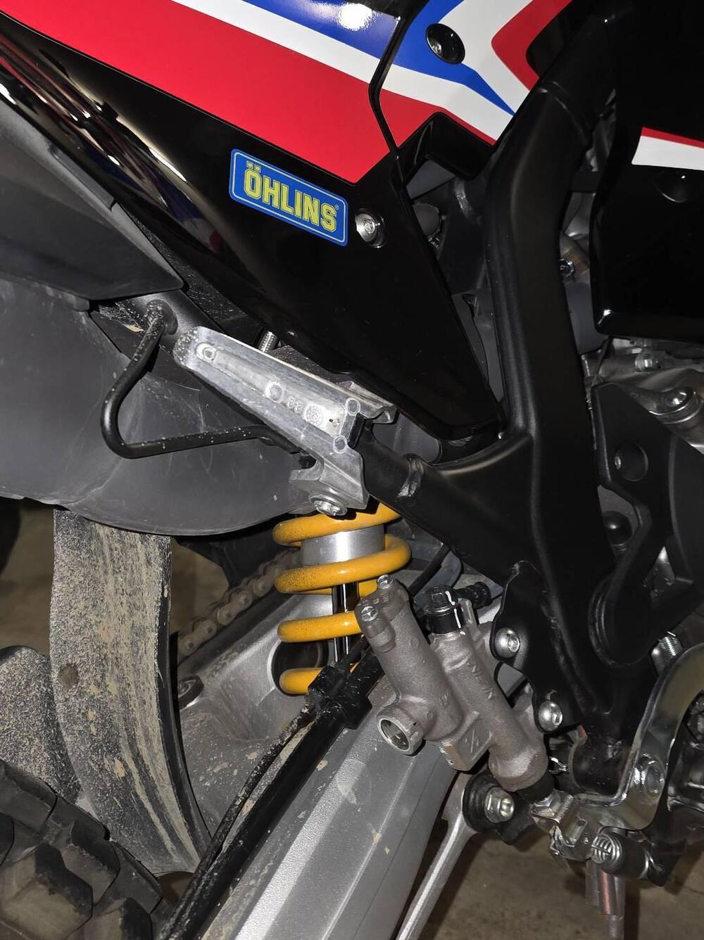 Honda CRF 300 Rally (2021 - 24) (4)