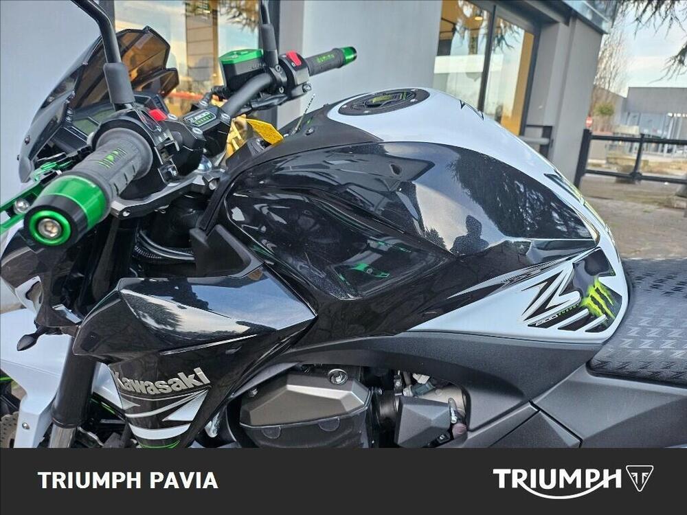 Kawasaki Z 800 (2012 - 13) (16)