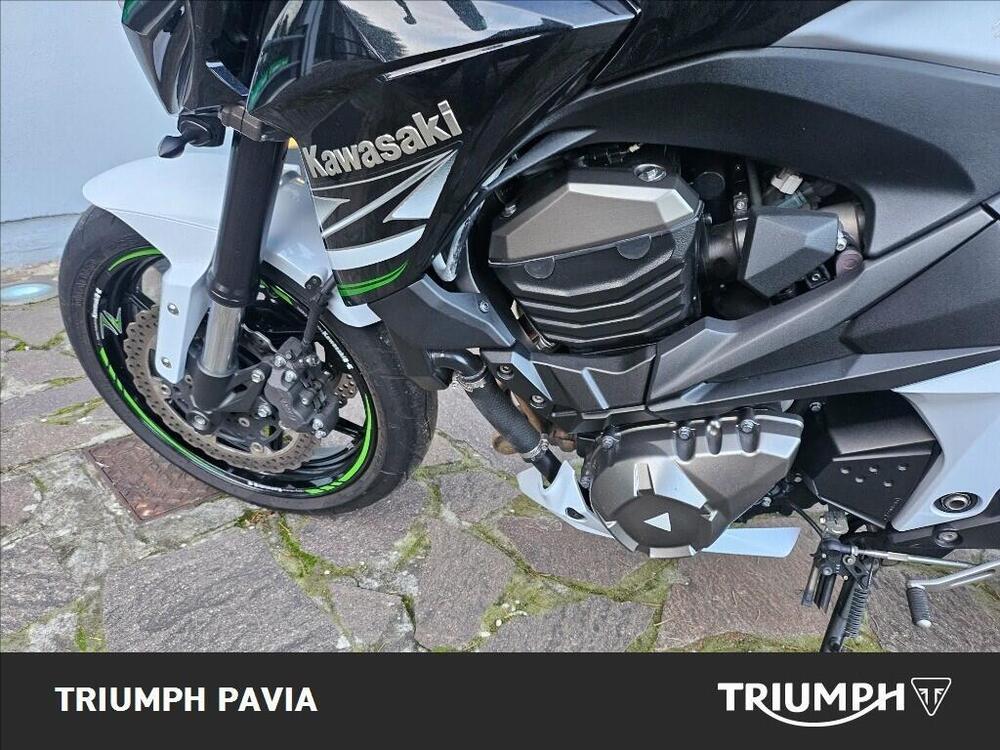 Kawasaki Z 800 (2012 - 13) (17)