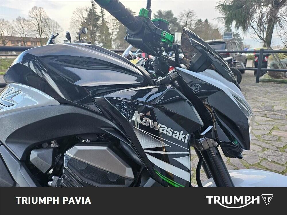 Kawasaki Z 800 (2012 - 13) (9)