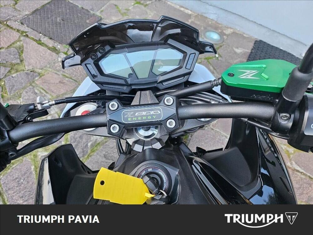 Kawasaki Z 800 (2012 - 13) (24)