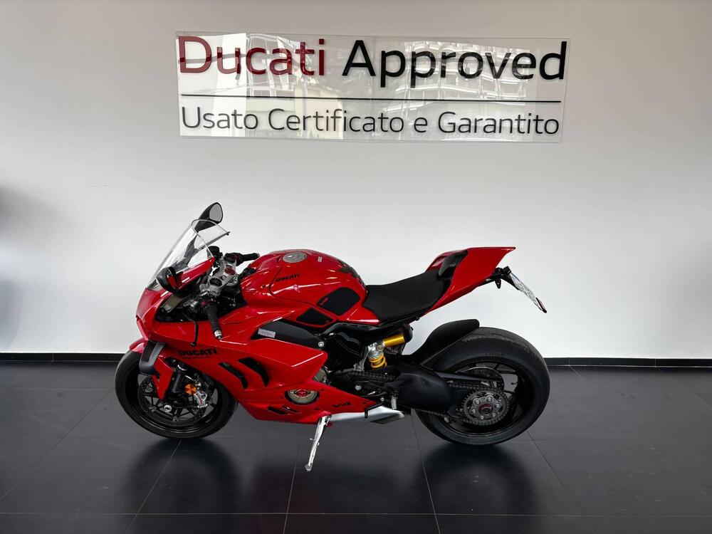 Ducati Panigale V4 (2022 - 24) (4)