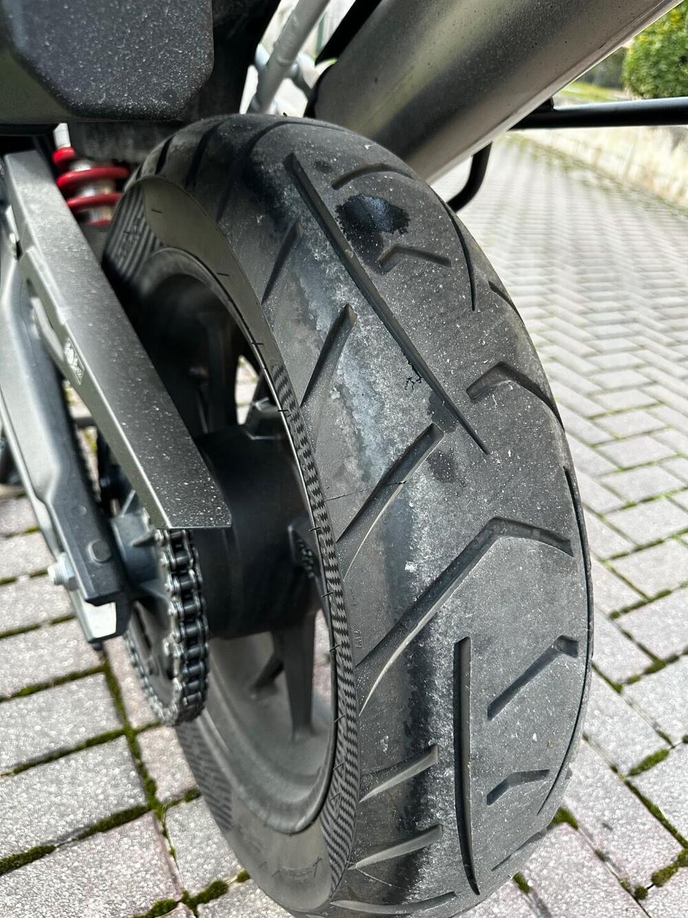 Triumph Tiger 900 GT Aragón Edition (2023 - 24) (3)