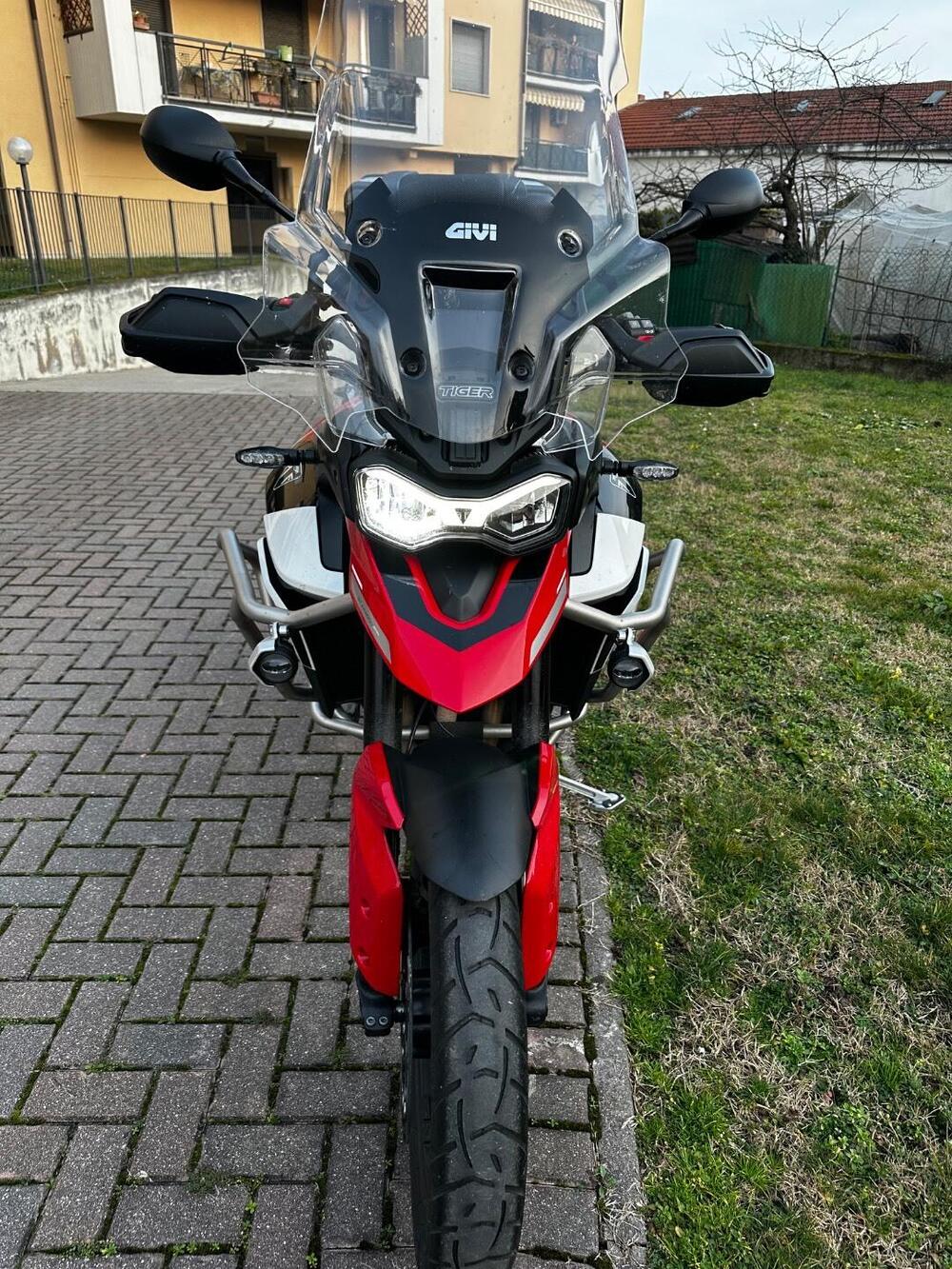 Triumph Tiger 900 GT Aragón Edition (2023 - 24) (4)