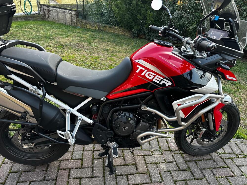 Triumph Tiger 900 GT Aragón Edition (2023 - 24) (5)