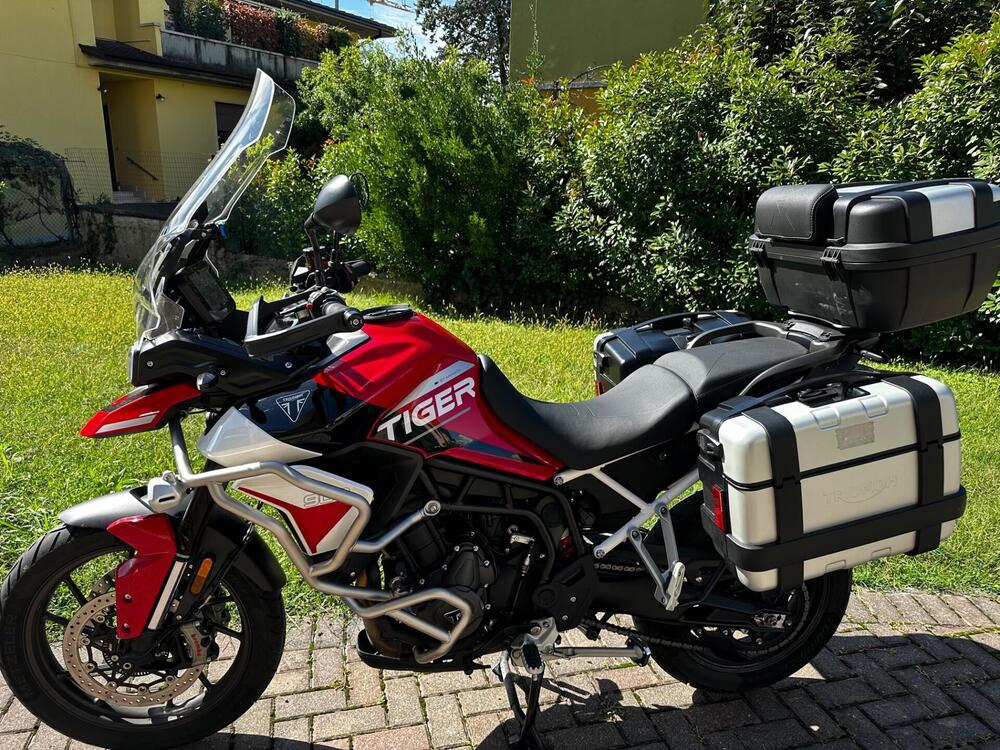 Triumph Tiger 900 GT Aragón Edition (2023 - 24) (9)