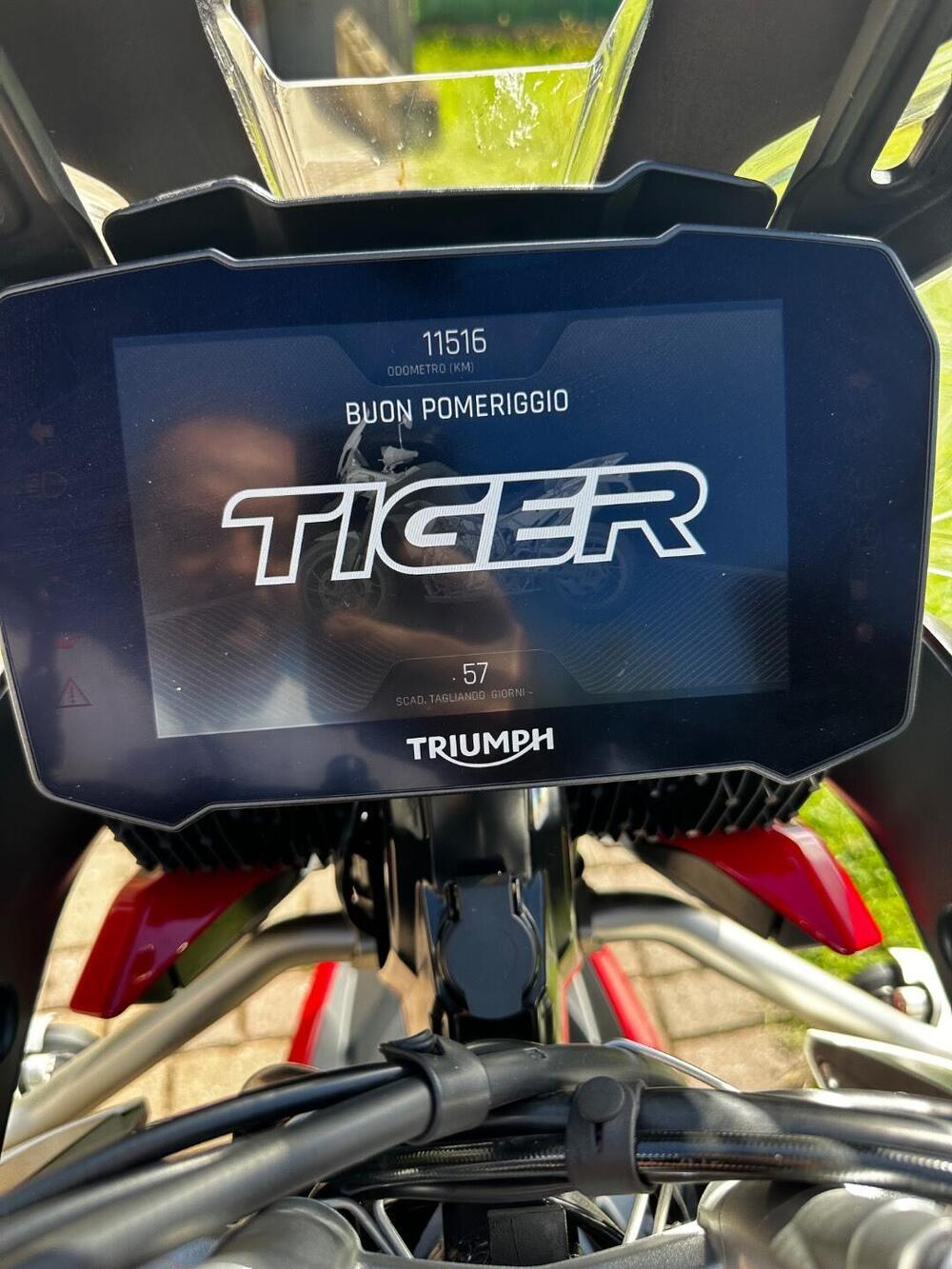 Triumph Tiger 900 GT Aragón Edition (2023 - 24) (11)