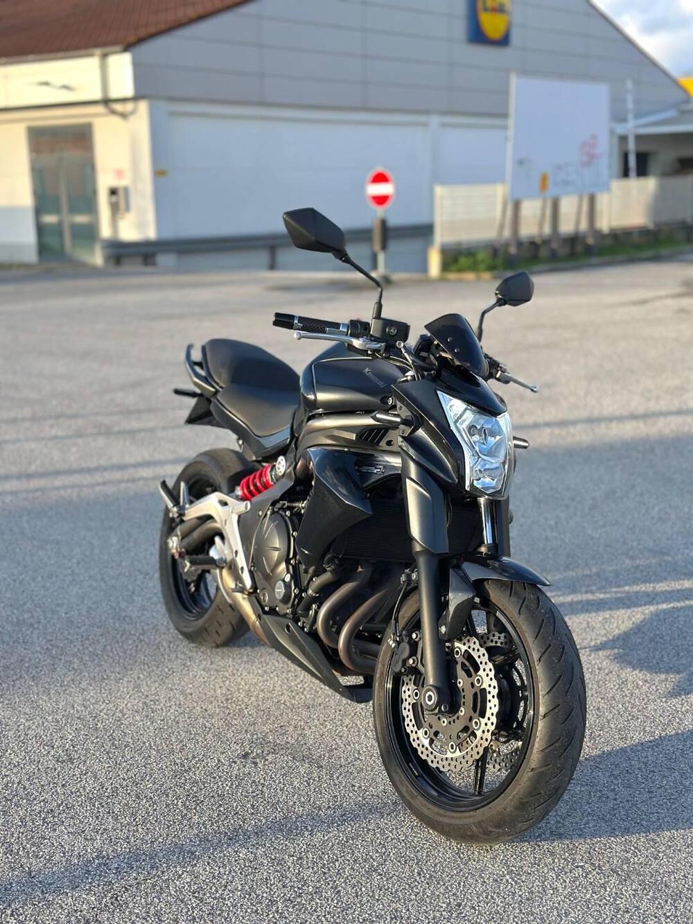 Kawasaki ER-6N (2012 - 13) (2)