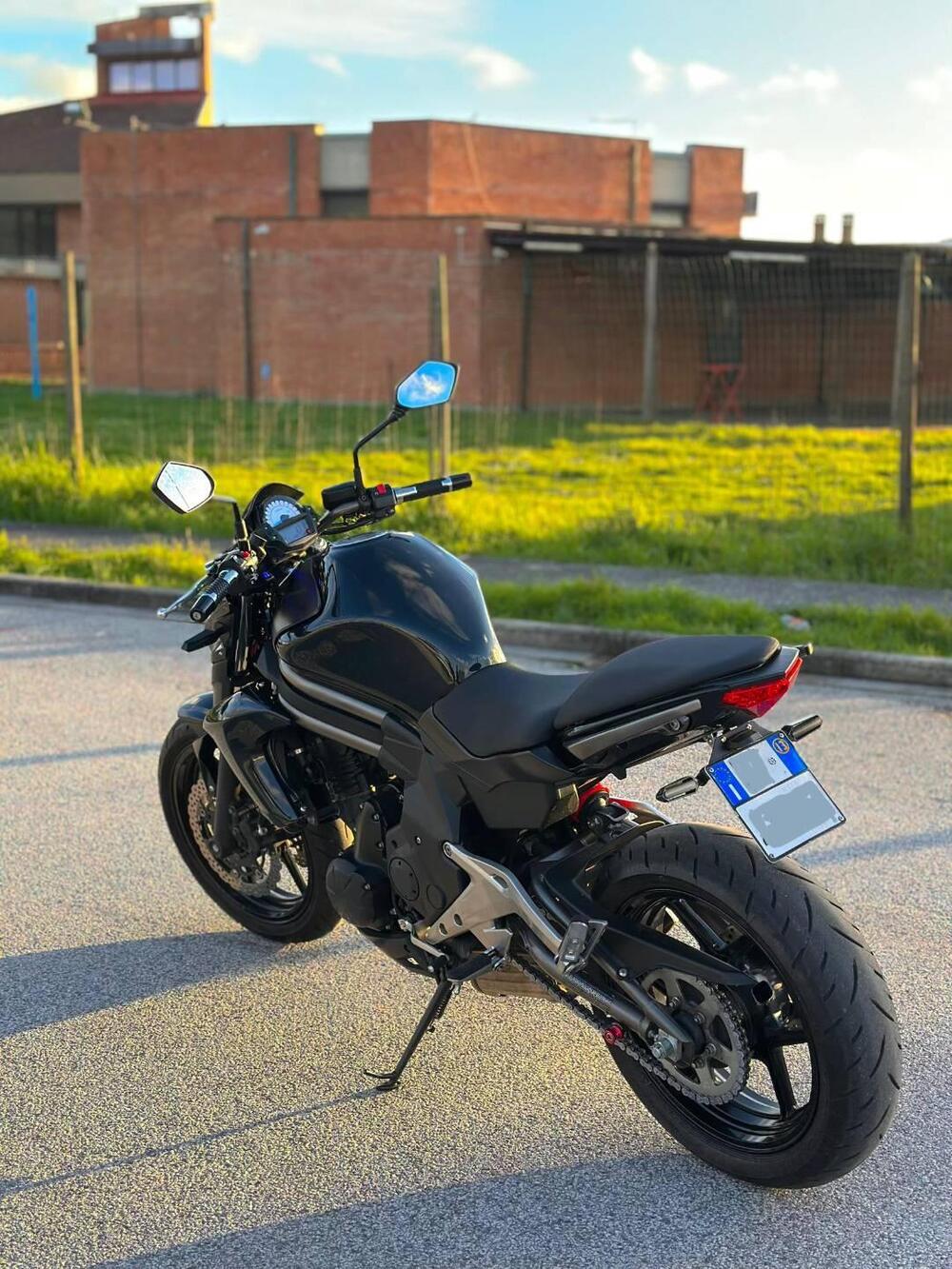 Kawasaki ER-6N (2012 - 13) (4)