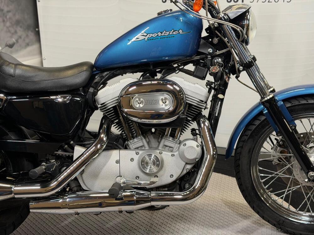 Harley-Davidson 883 (2006 - 07) - XL (3)