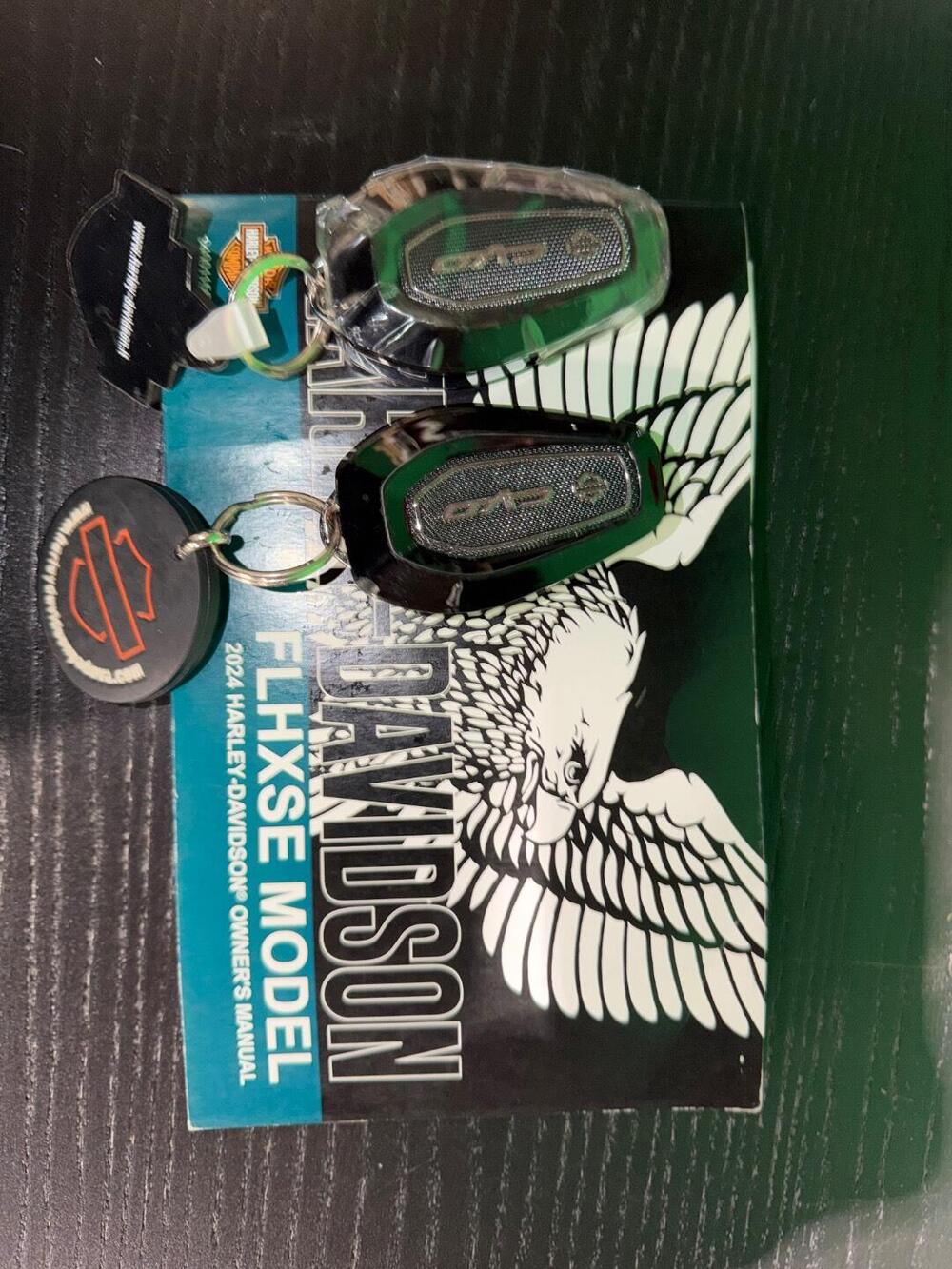 Harley-Davidson CVO Street Glide (2024) (20)