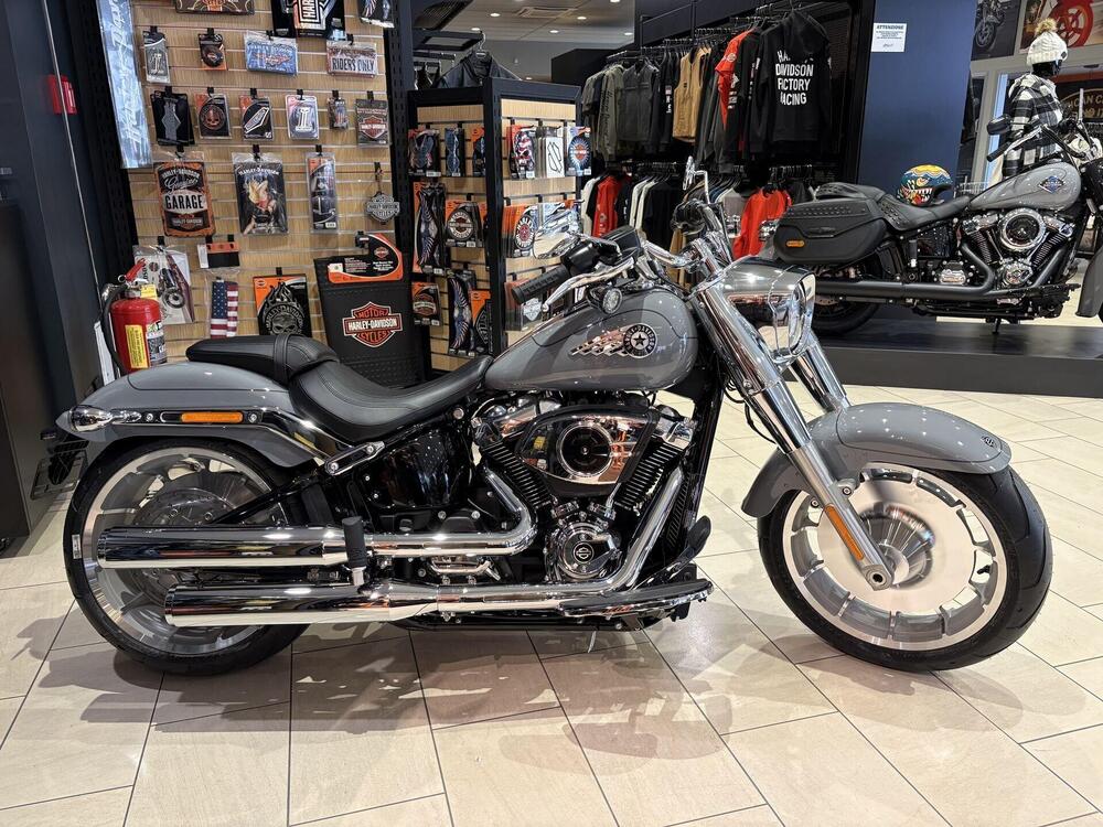 Harley-Davidson Fat Boy 117 (2025 - 26) (2)