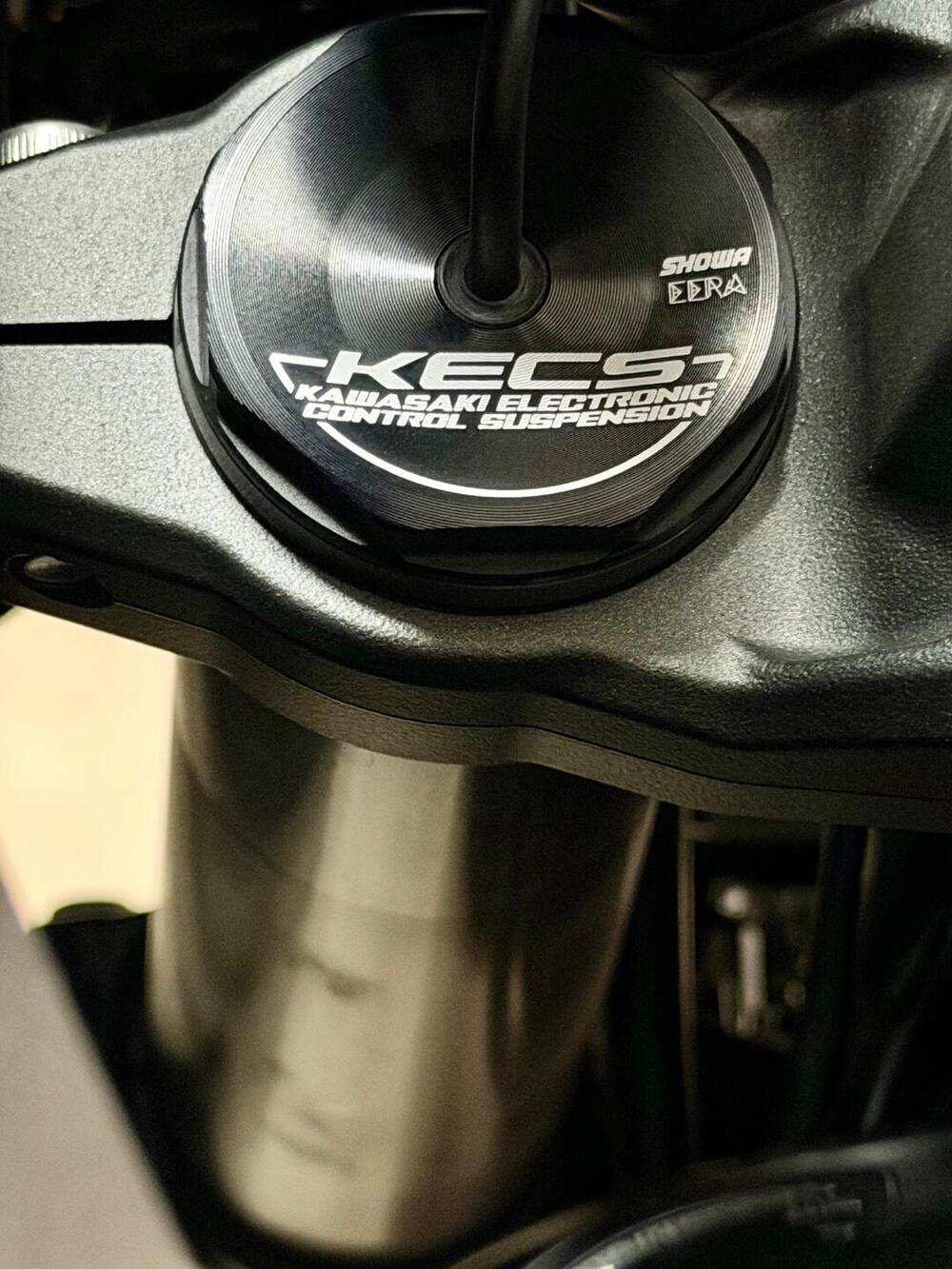 Kawasaki Versys 1100 SE (2025 - 26) (5)