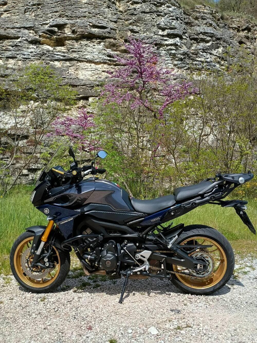 Yamaha Tracer 900 ABS (2015 - 16) (7)