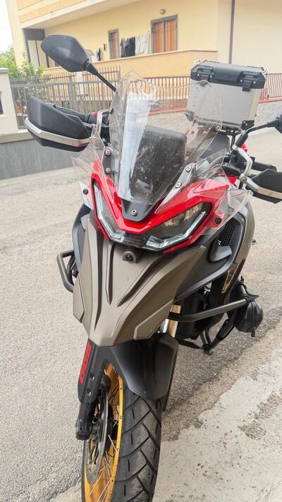 QJ Motor SRT 800 SX (2024 - 25) usata