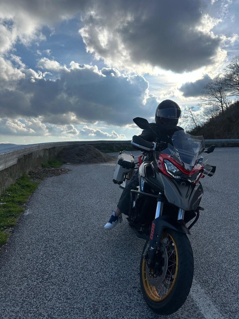 QJ Motor SRT 800 SX (2024 - 25) (5)