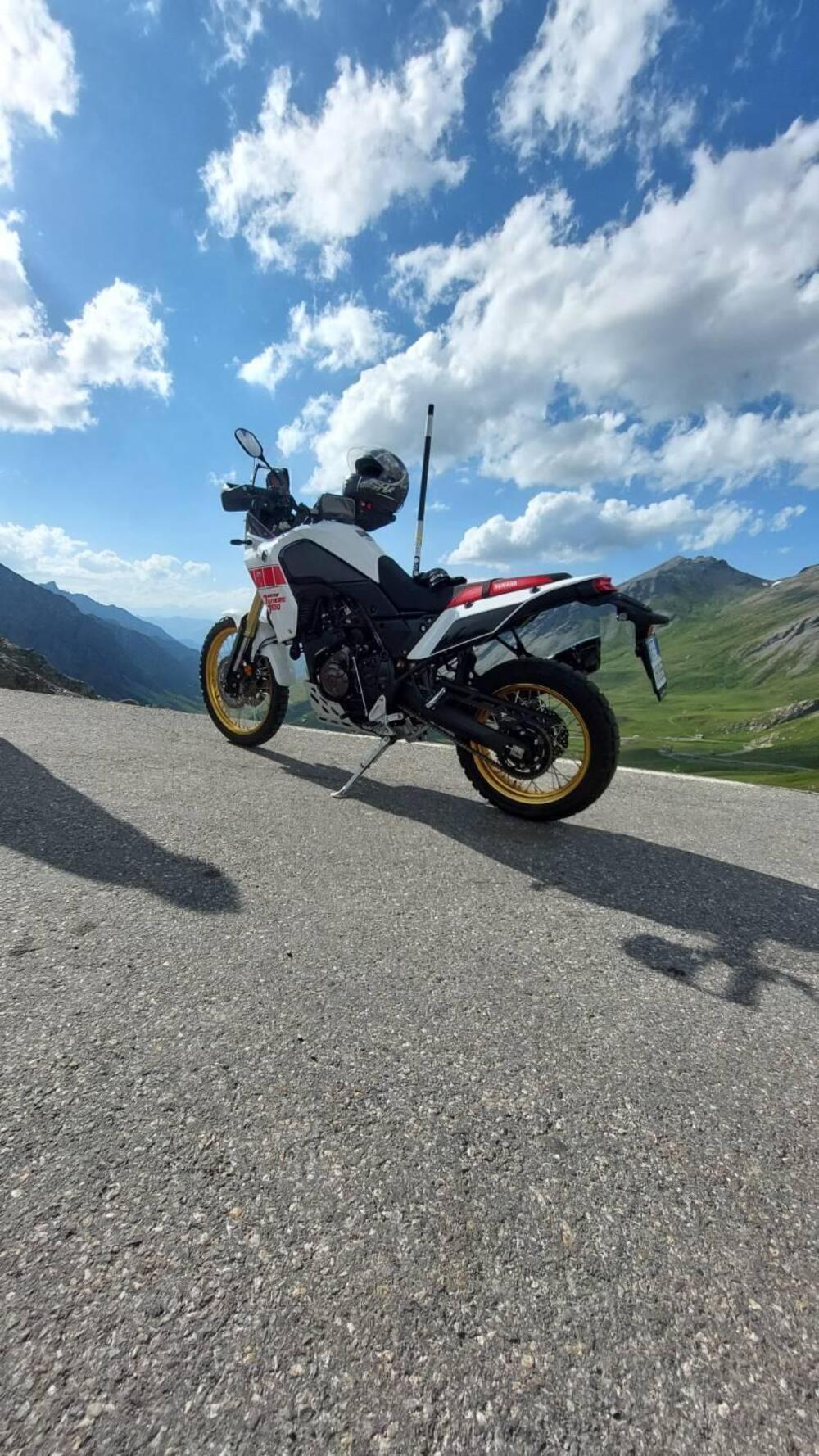 Yamaha Ténéré 700 Rally Edition (2022 - 24) (2)