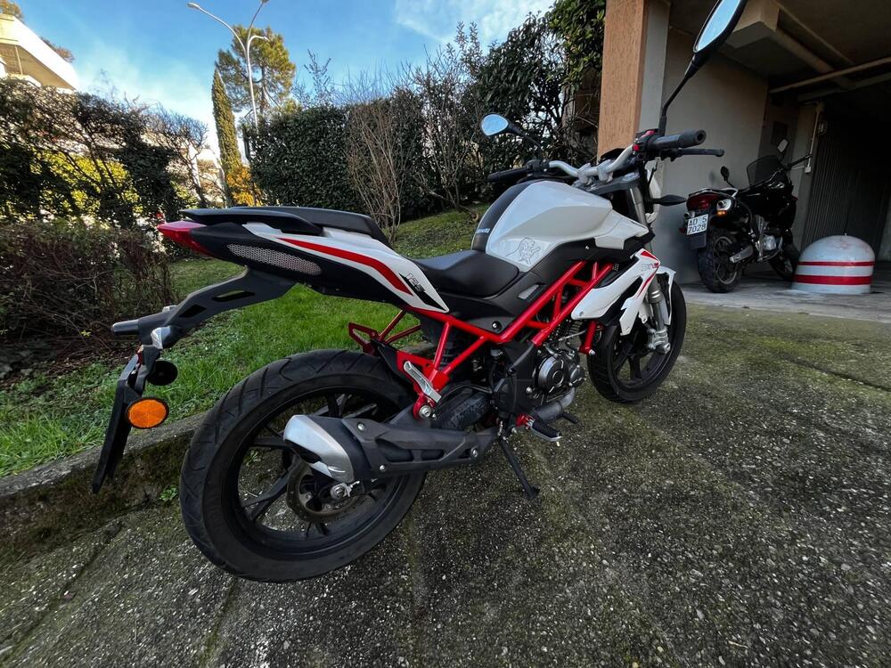 Benelli BN 125 (2018 - 20) (3)