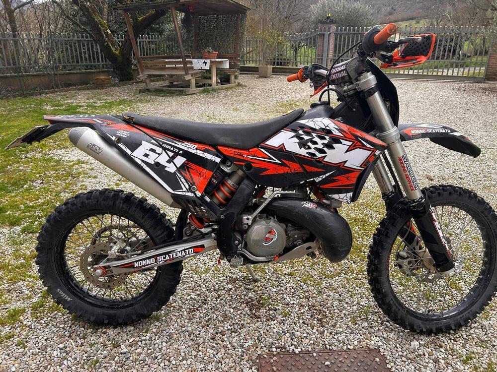 KTM 250 EXC (2010) (2)
