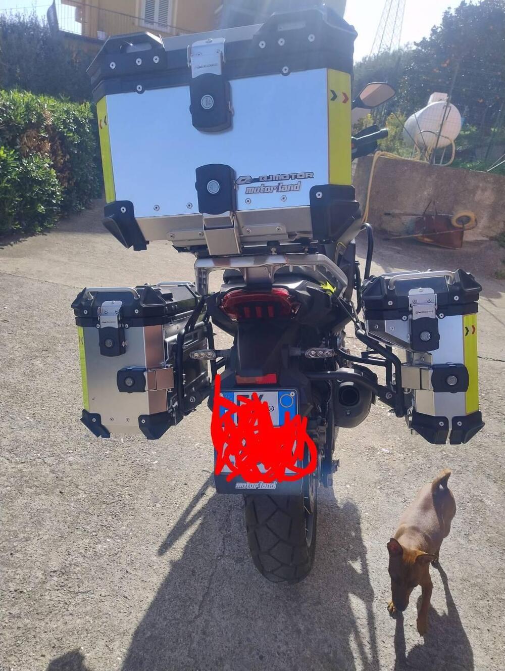 QJ Motor SVT 650 X (2025 - 26) (3)