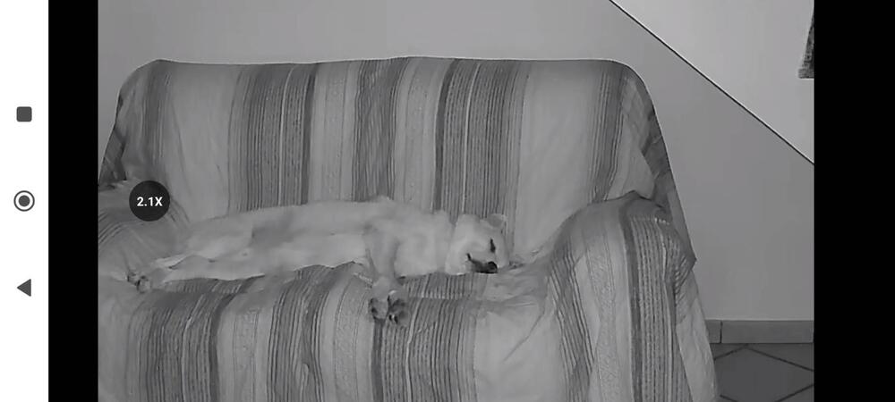 Yamaha Ténéré 700 World Raid (2022 - 25) (3)