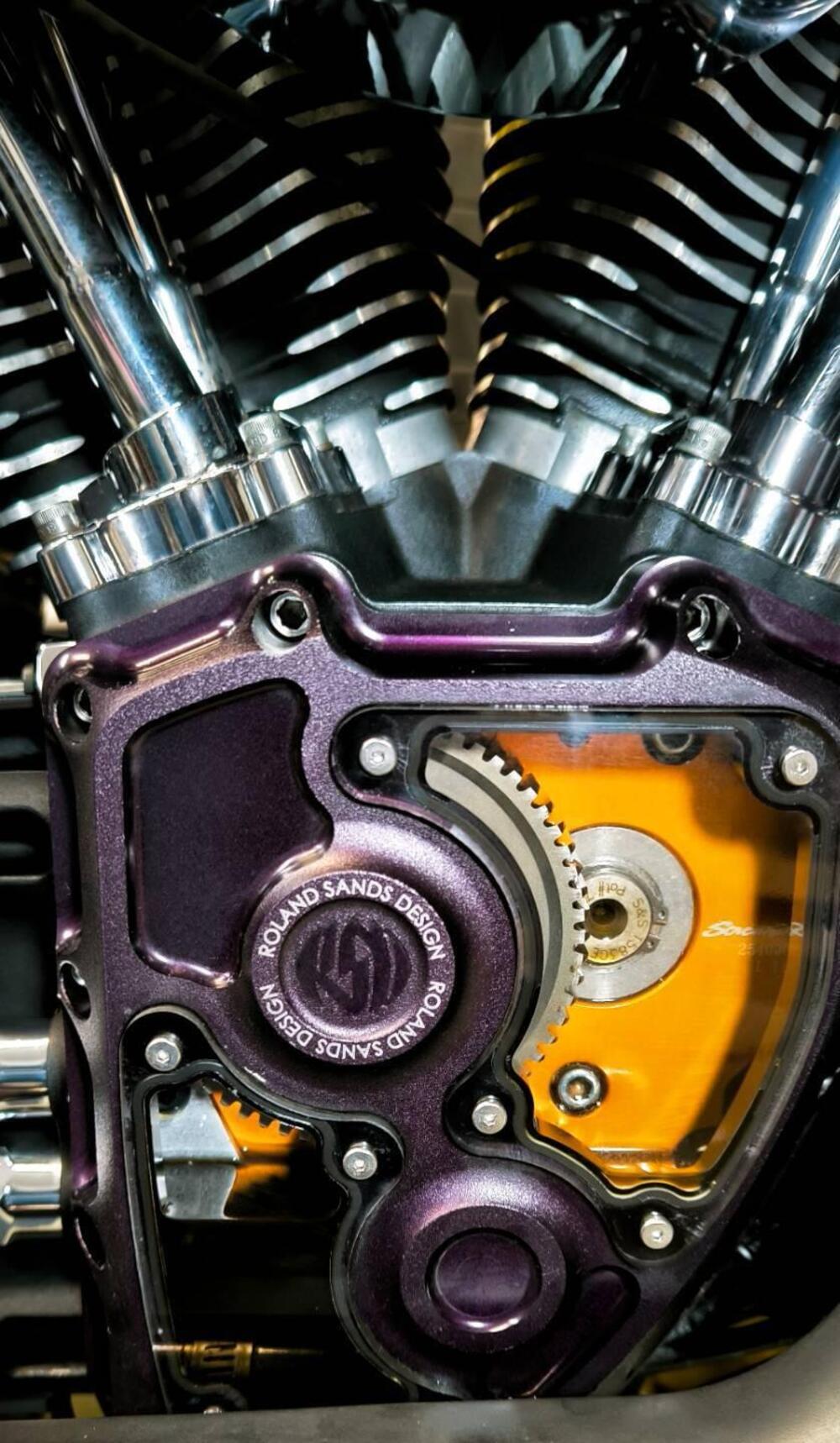 Harley-Davidson 1584 Blackline (2011 - 13) - FXS (8)