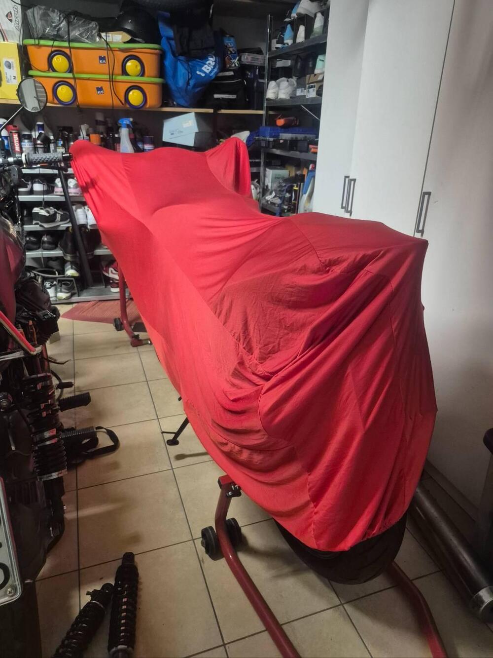 Aprilia RS 125 (2006 - 14) (9)