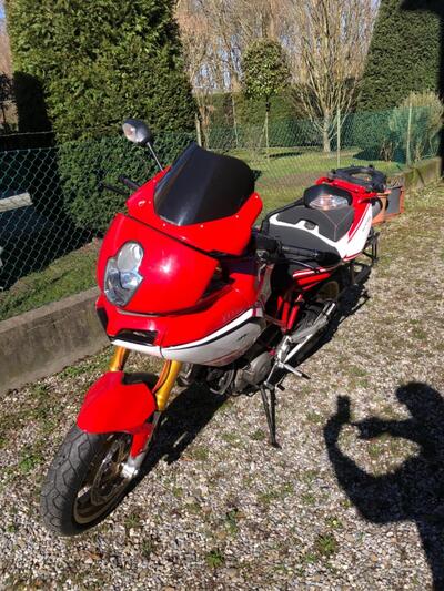 Ducati Multistrada 1000 DS (2003 - 06) usata