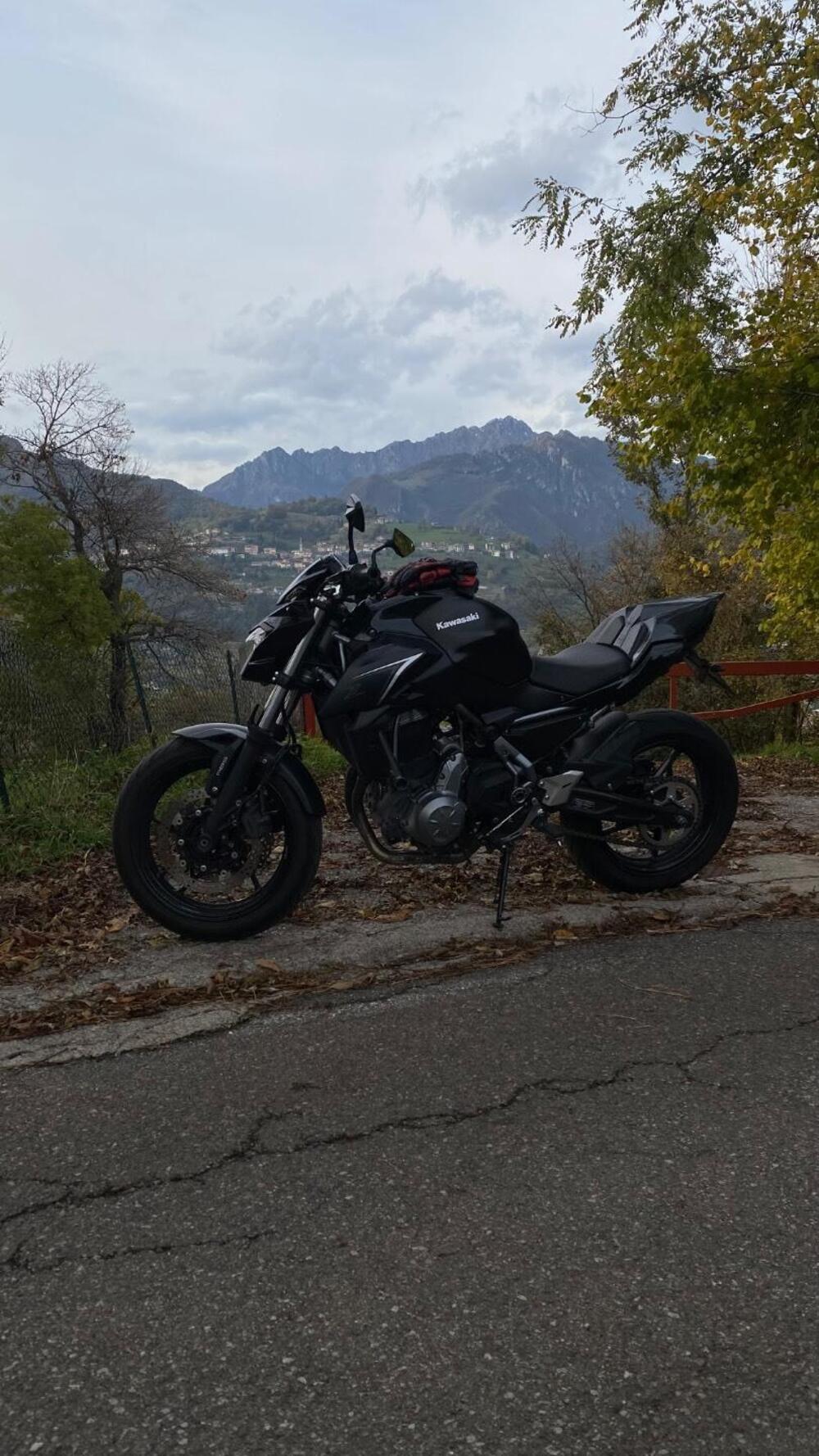 Kawasaki Z 650 (2017 - 19)