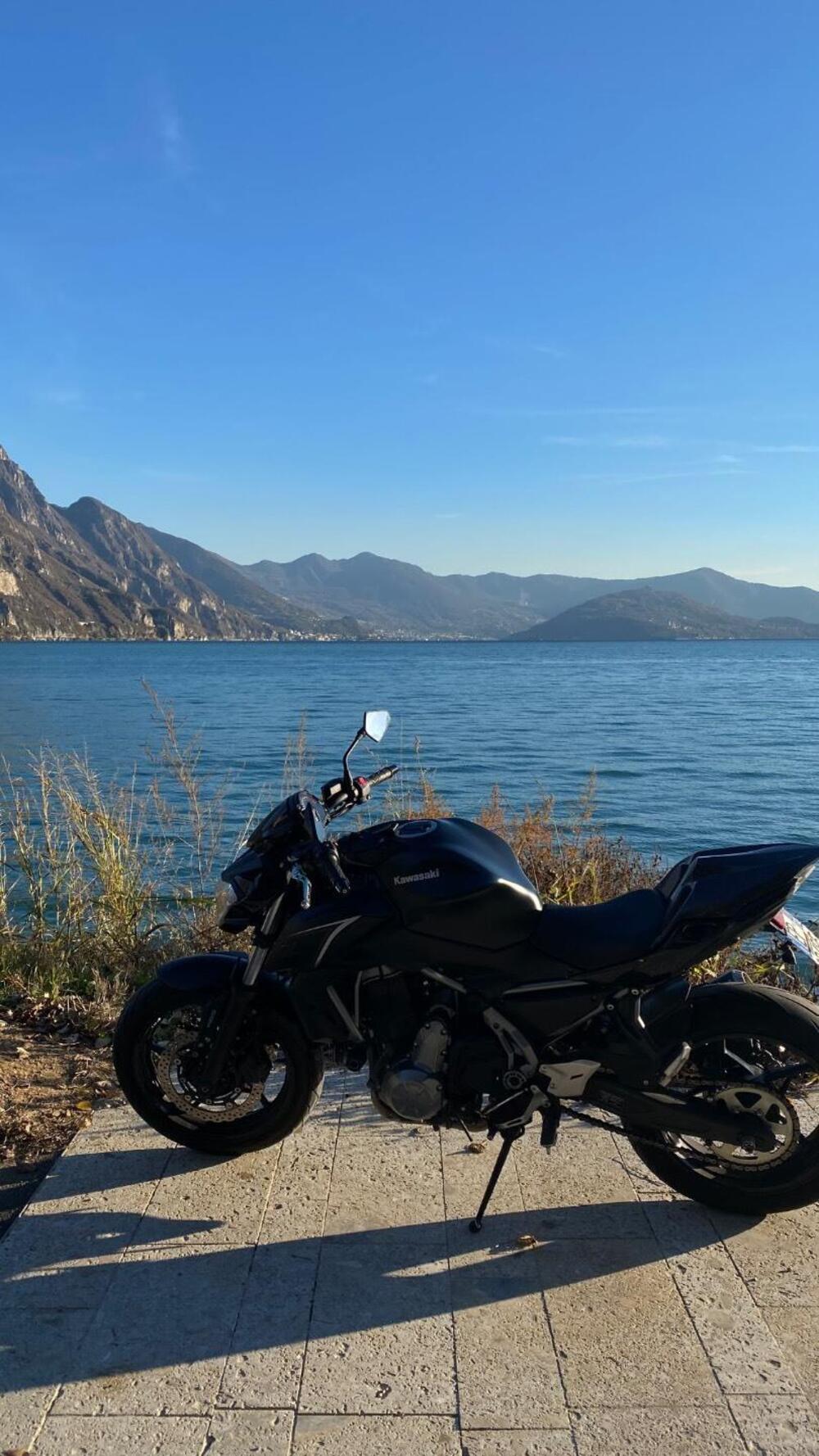 Kawasaki Z 650 (2017 - 19) (3)