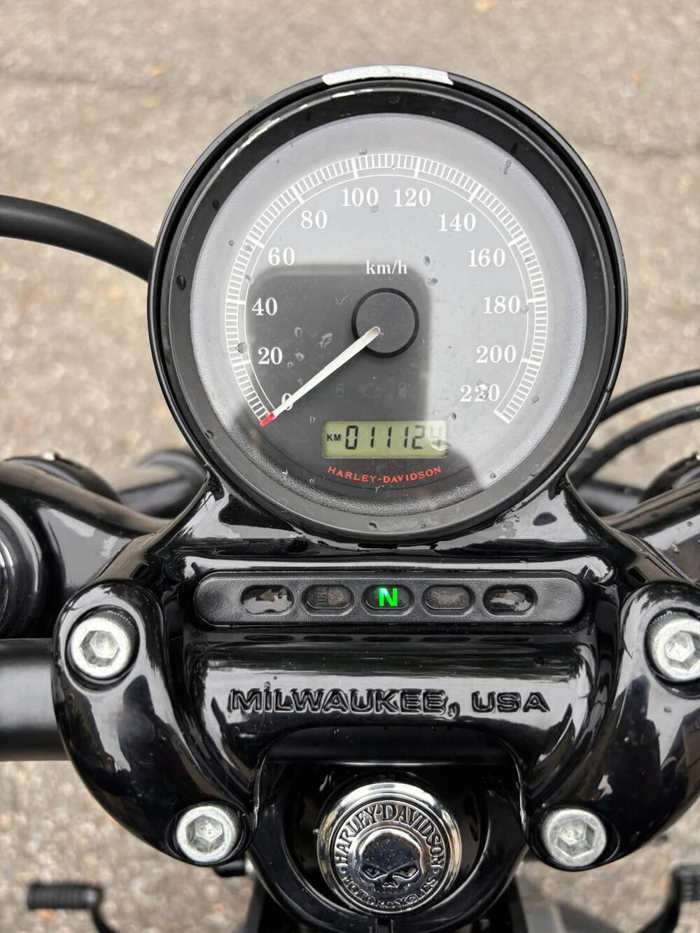 Harley-Davidson 1200 Forty-Eight (2010 - 15) (6)