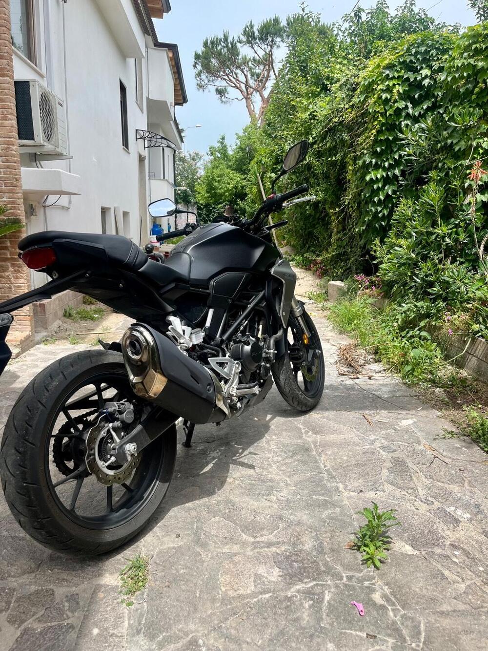Honda CB 300 R (2018 - 19) (2)