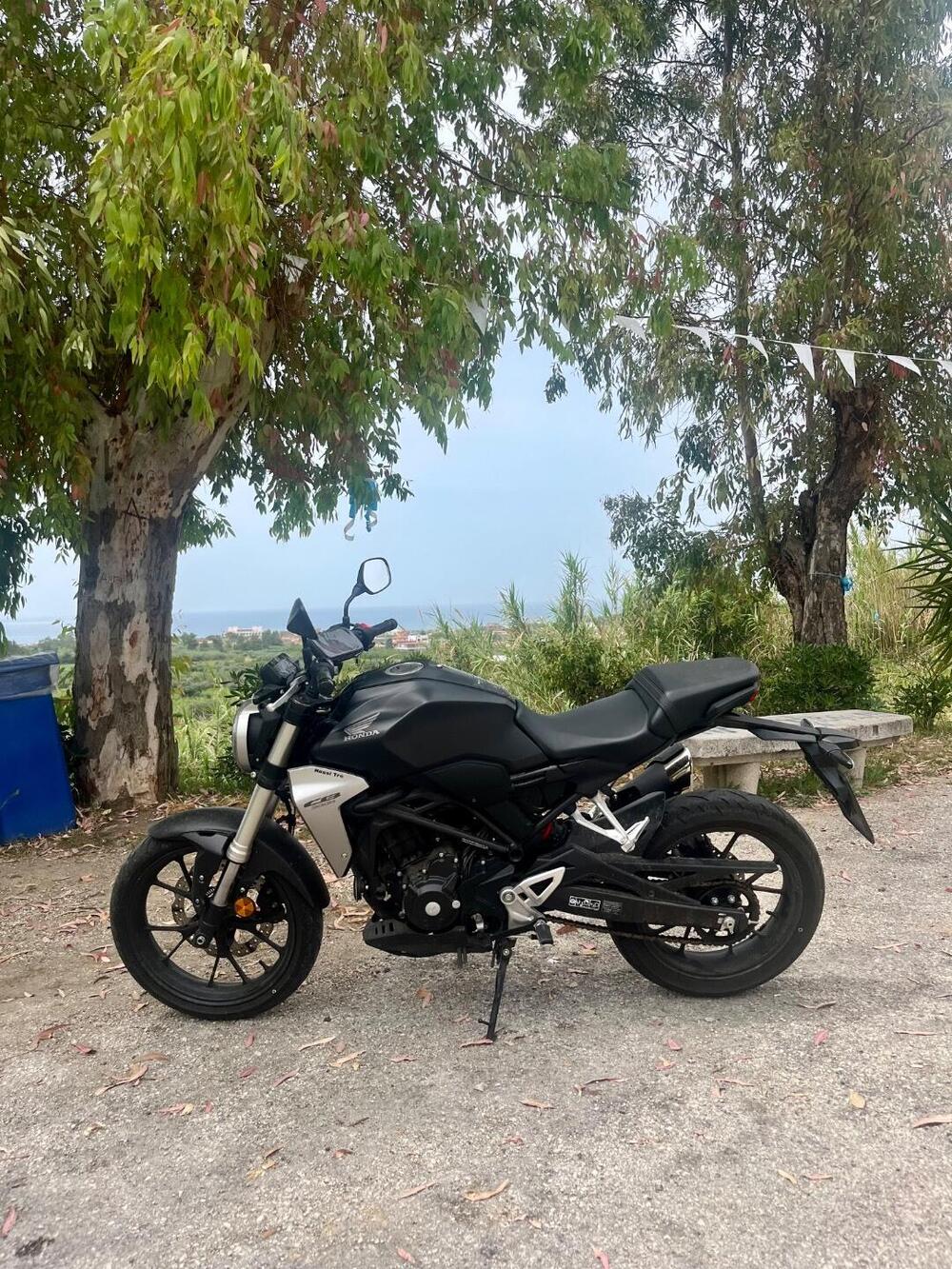 Honda CB 300 R (2018 - 19) (4)