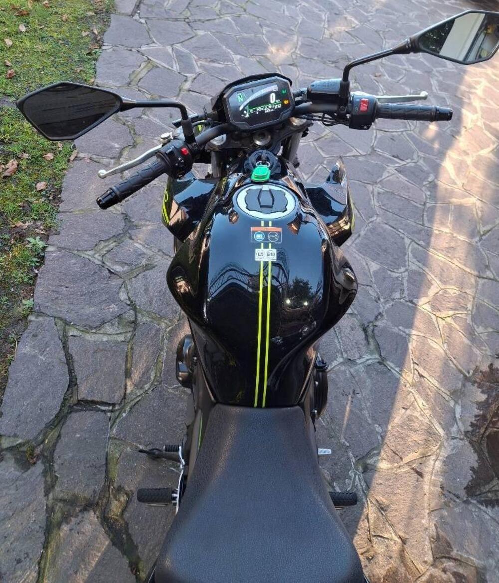 Kawasaki Z 650 (2021 - 24) (4)