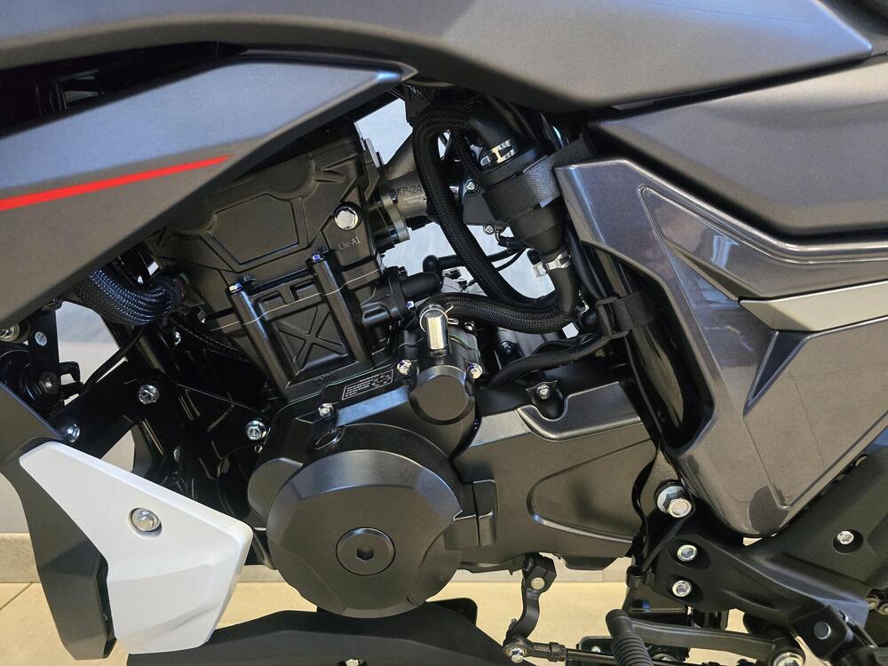 Morbidelli F125 (2025 - 26) (10)