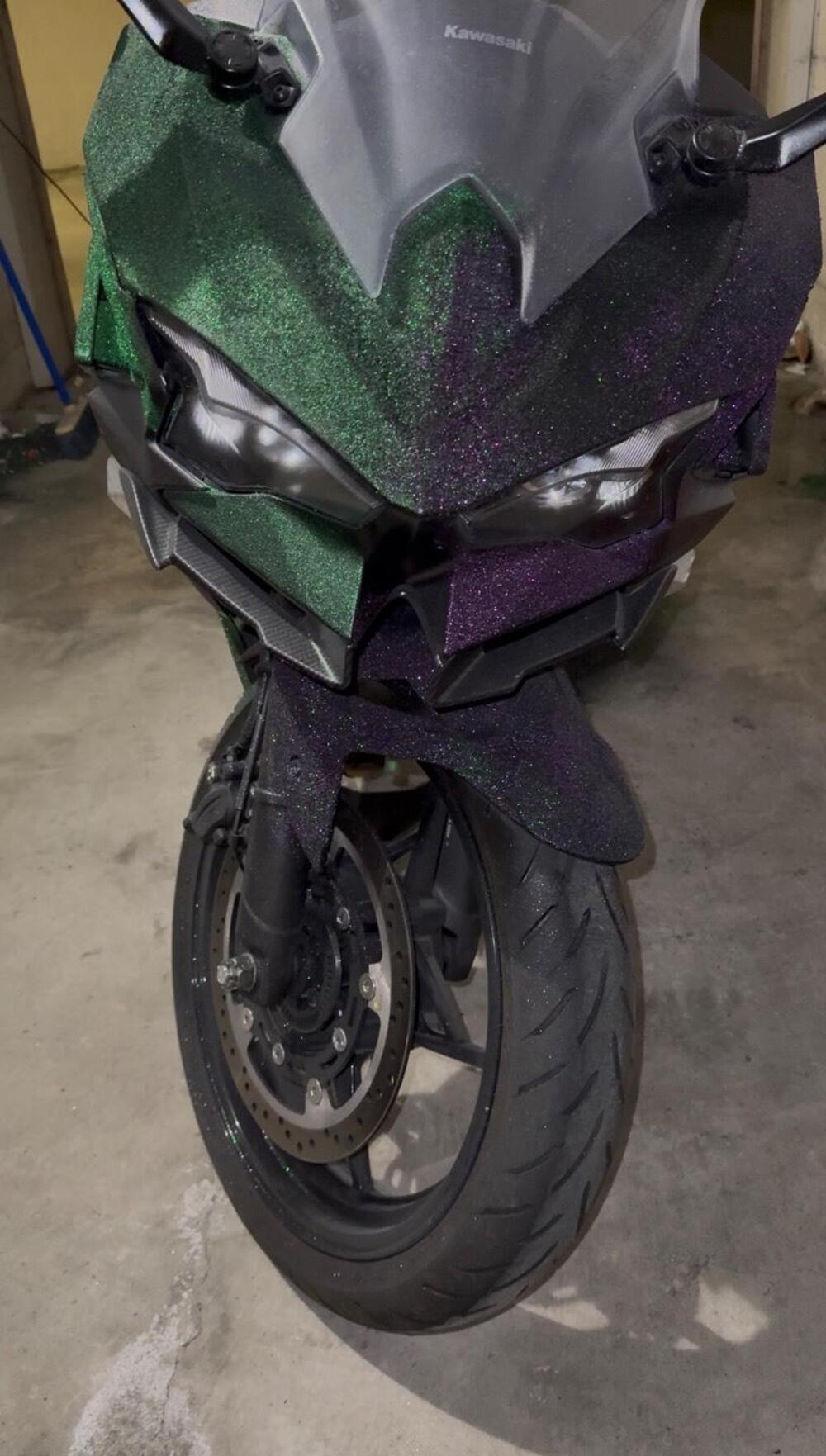 Kawasaki Ninja 500 (2024 - 26)